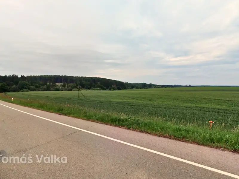 Prodej pole 5202 m², Žďárná – náhled fotky 1
