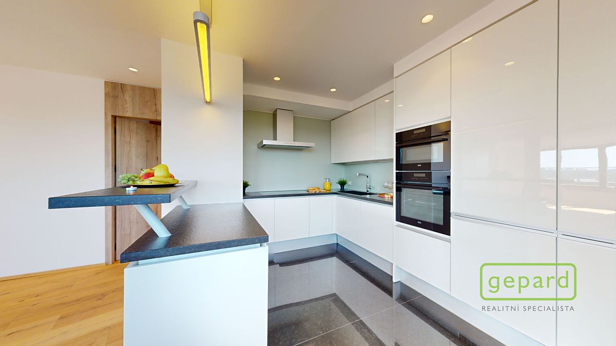 Prodej bytu 5+kk 289 m² – fotografie 4