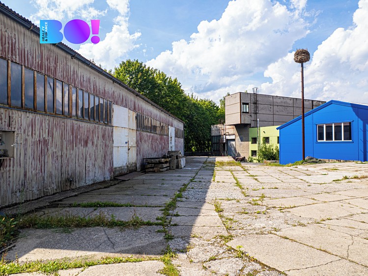 Комерційне приміщення в оренду, 150 м² (8 з 18)