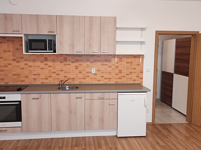 Pronájem bytu 1+kk 43 m² (Jednopodlažní)