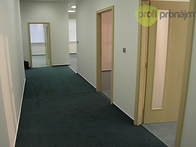 Pronájem komerčního prostoru, 161 m² (2 z 15)