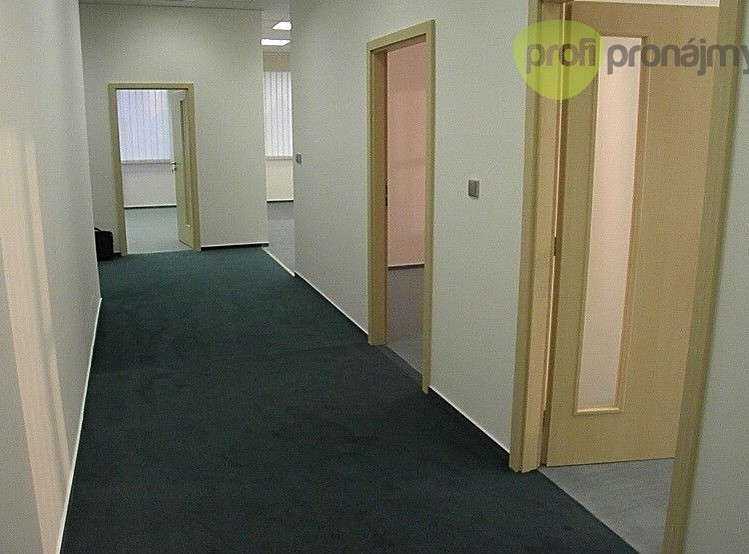 Pronájem komerčního prostoru, 161 m² (2 z 15)