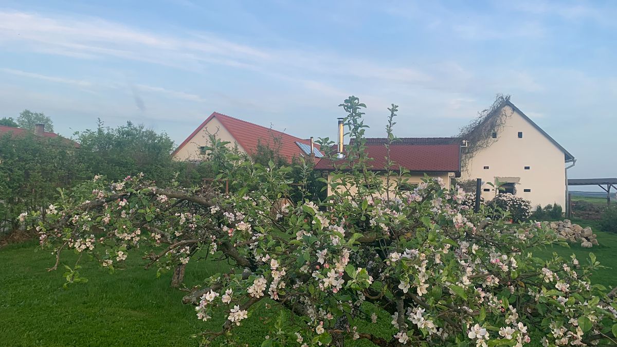 Prodej komerční nemovitosti 28792 m²