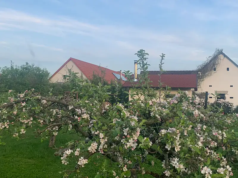 Prodej komerční nemovitosti 28792 m², Pluhův Žďár – náhled fotky 1