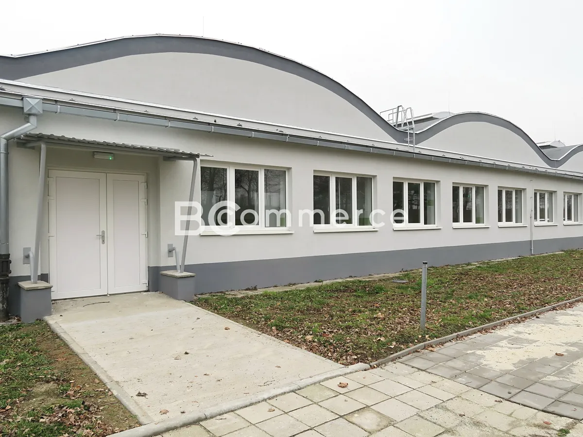Pronájem skladového prostoru 1100 m², Holubice