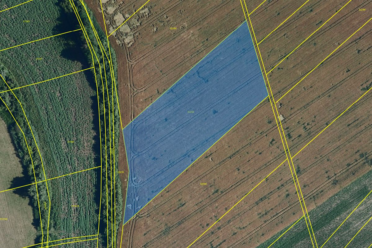 Prodej pole 10020 m² – fotografie 3