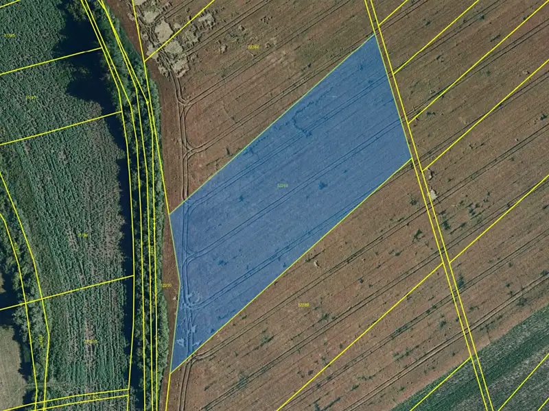 Prodej pole 10020 m², Nový Poddvorov – náhled fotky 3