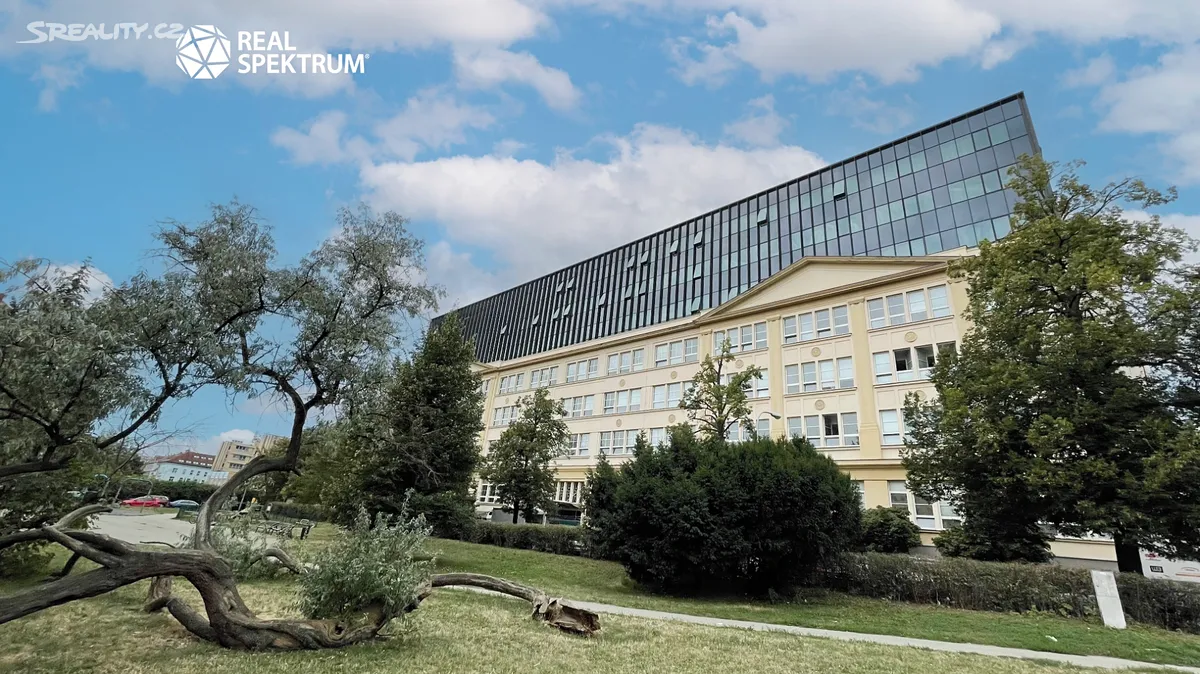 Pronájem kanceláře 475 m² – pohled 4