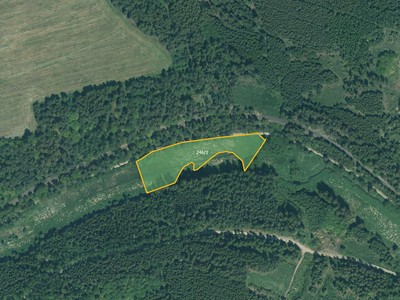 Bor - Skviřín, okres Tachov