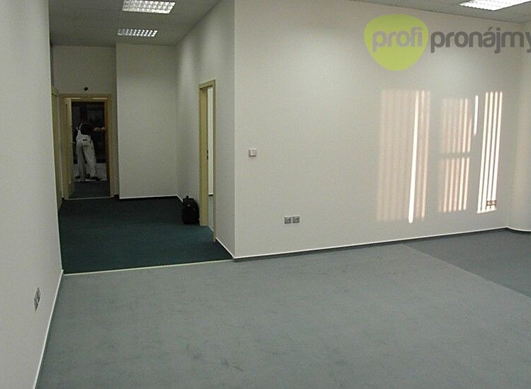 Pronájem komerčního prostoru, 161 m² (12 z 15)