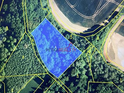 Prodej lesa 4700 m²