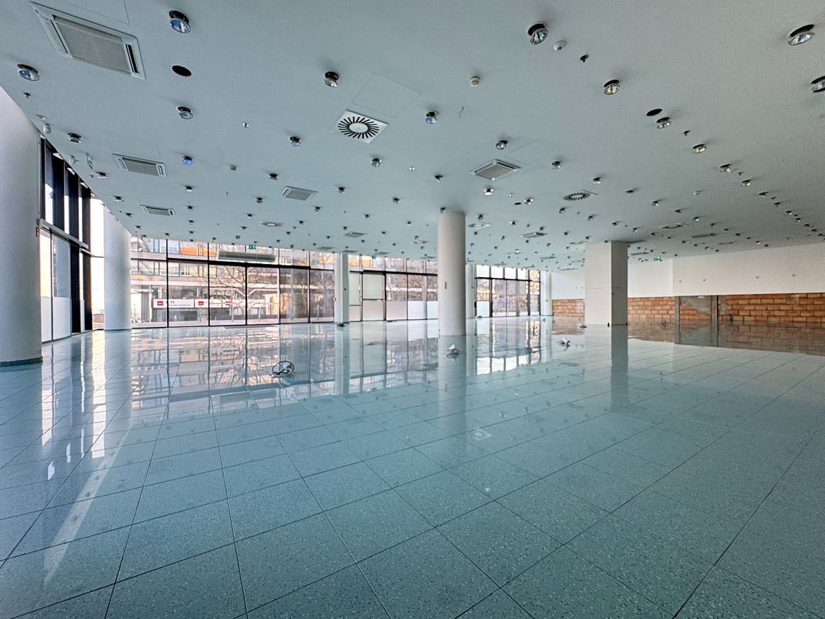 Pronájem obchodního prostoru 206 m² – fotografie 3