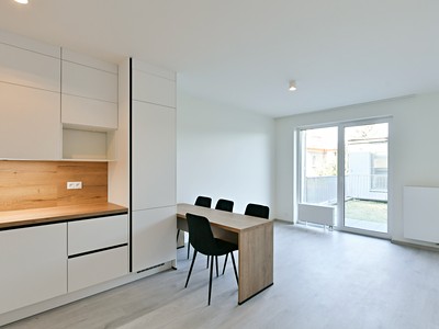 Prodej bytu 2+kk 45 m² (Jednopodlažní)