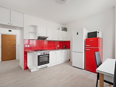Pronájem bytu 1+1 41 m²