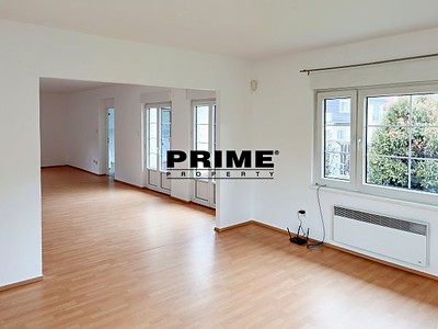 Pronájem  rodinného domu 365 m², pozemek 500 m² — photo 3