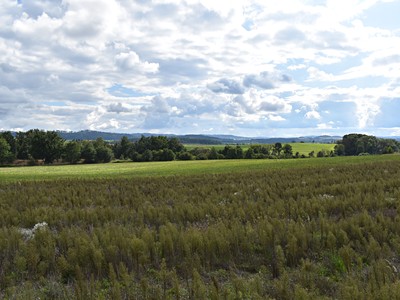 Benešov - Mariánovice, okres Benešov