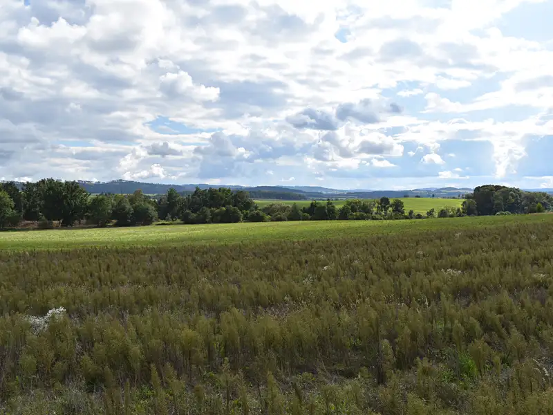 Prodej stavebního pozemku 1348 m², Benešov – náhled fotky 2