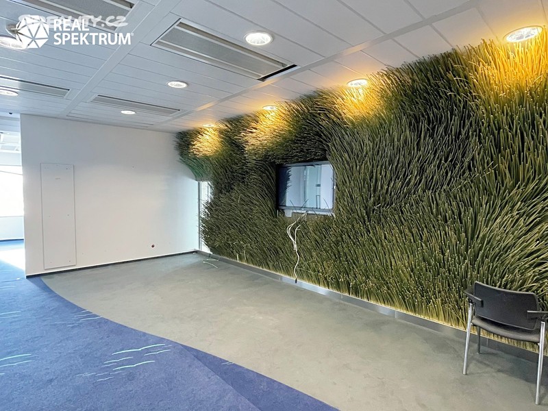 Pronájem kanceláře 421 m² – pohled 3