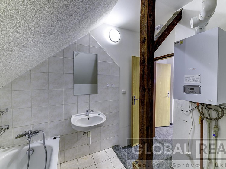 Prodej komerčního prostoru, 401 m² (20 z 23)