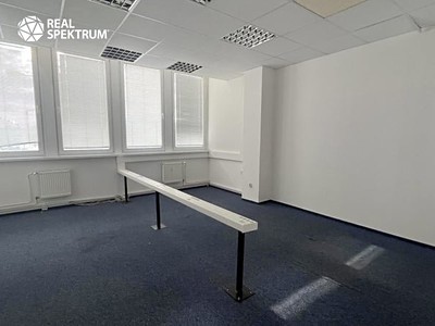 Gewerbefläche zur Miete, 259 m² (3 von 14)