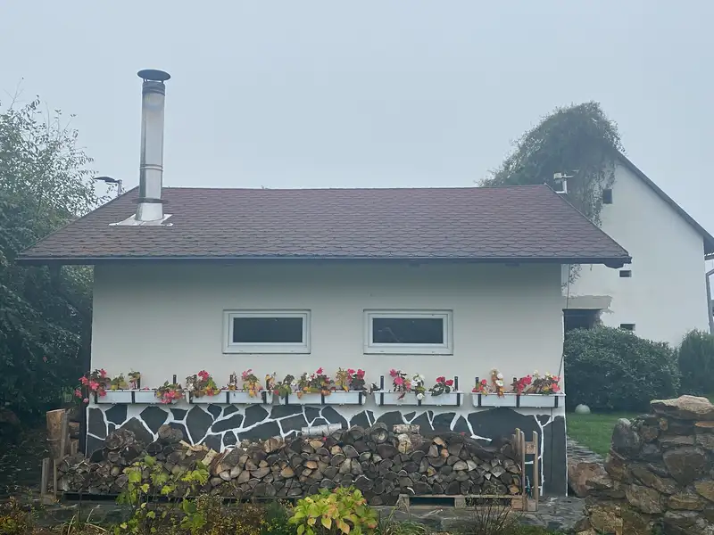 Prodej komerční nemovitosti 28792 m², Pluhův Žďár – náhled fotky 3
