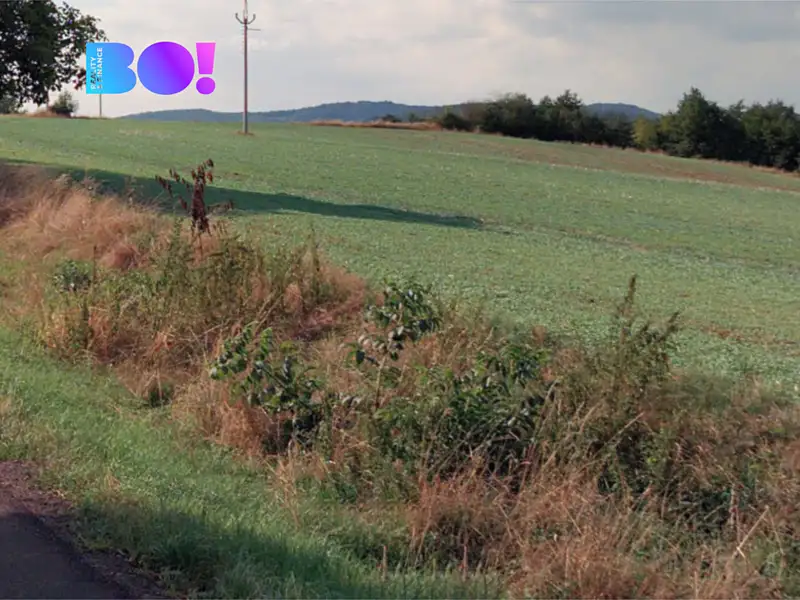 Prodej pole 8221 m², Osvětimany – náhled fotky 3