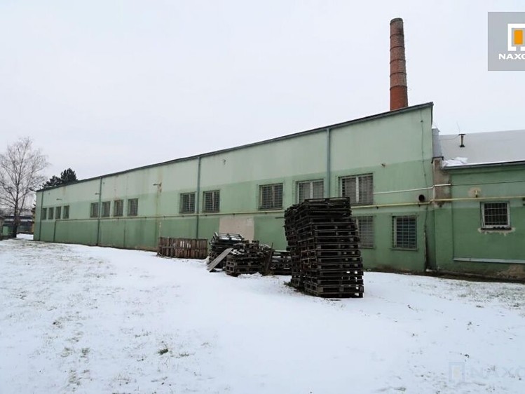 Комерційне приміщення в оренду, 1 000 м² (3 з 9)