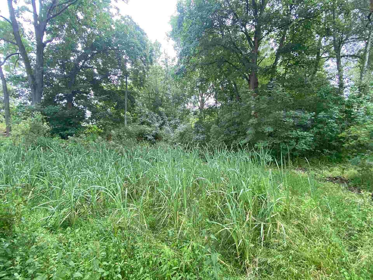 Prodej pozemku 1993 m² – fotografie 3