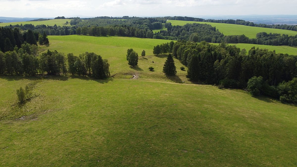 Prodej pole 6044 m² – fotografie 2