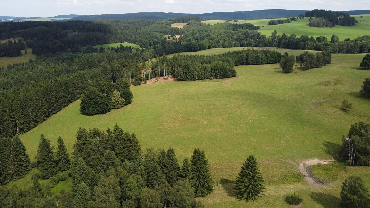 Prodej pole 6044 m² – fotografie 3