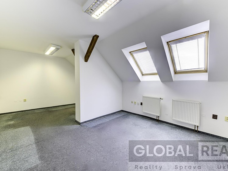Prodej komerčního prostoru, 401 m² (14 z 23)