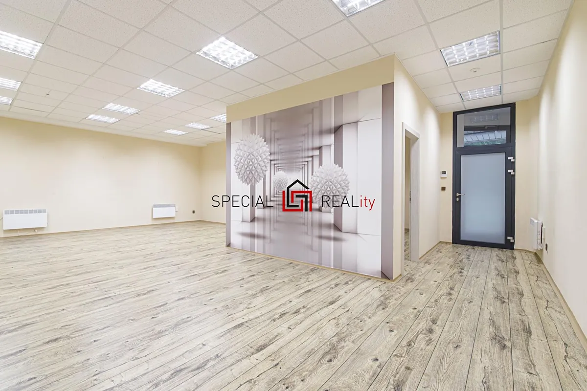 Prodej obchodního prostoru 121 m²