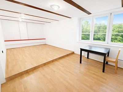 Pronájem  pokoje 19 m² (Mezonet)