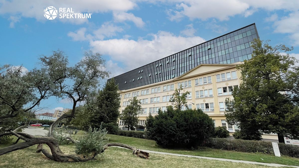 Pronájem kanceláře 202 m² – fotografie 3