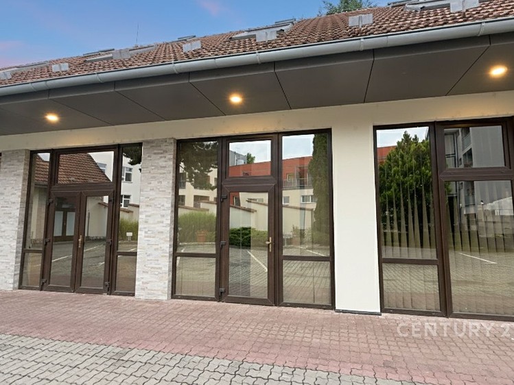 Prodej komerčního prostoru, 758 m² (12 z 23)