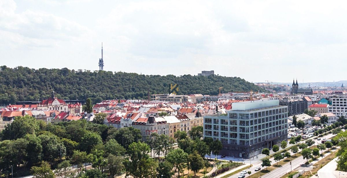 Pronájem kanceláře 700 m² – fotografie 5