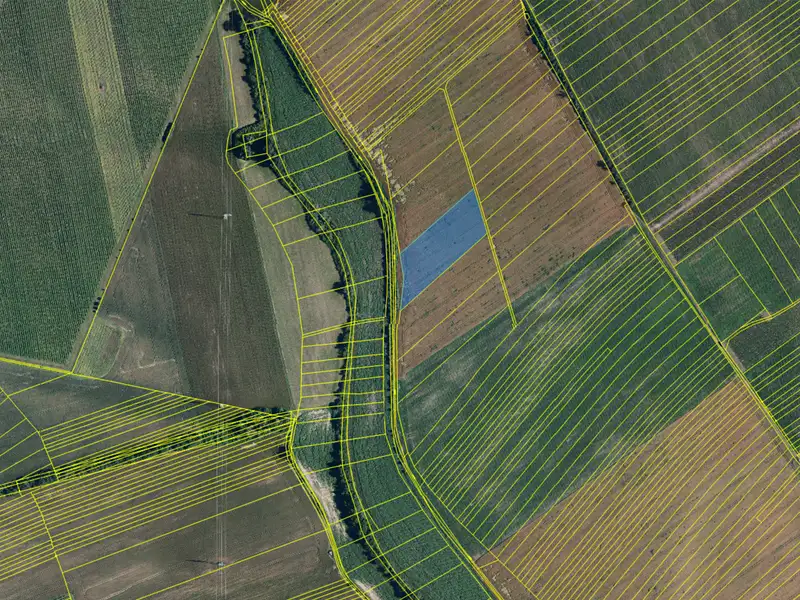 Prodej pole 10020 m², Nový Poddvorov – náhled fotky 2