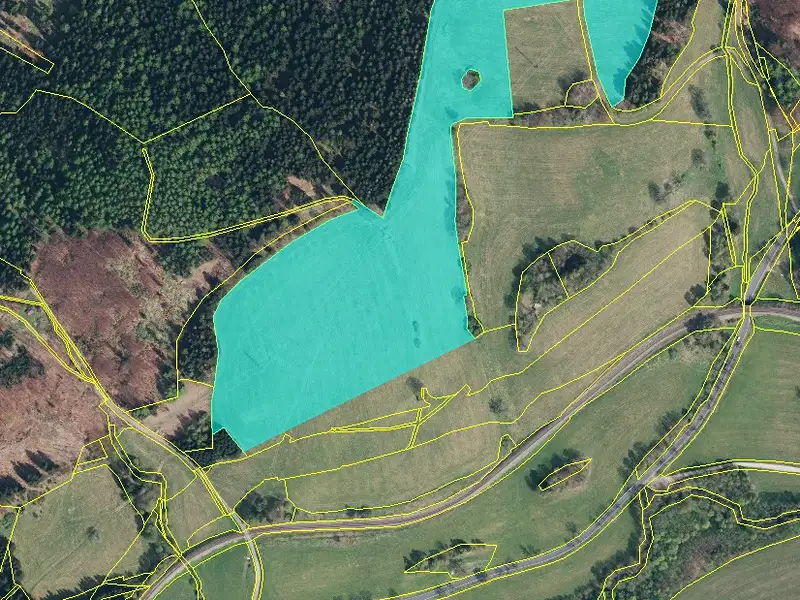 Prodej louky 570000 m², Branná – náhled fotky 3