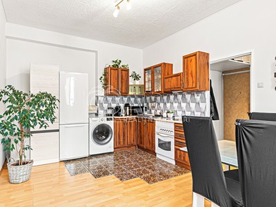 Prodej bytu 1+1 45 m² (Jednopodlažní)