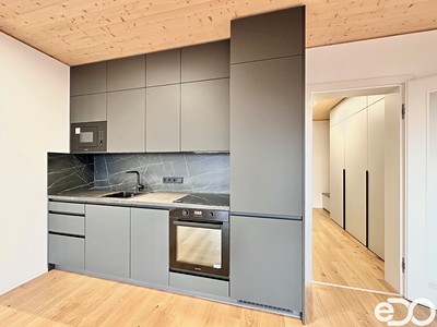 Pronájem bytu 1+kk 41 m²