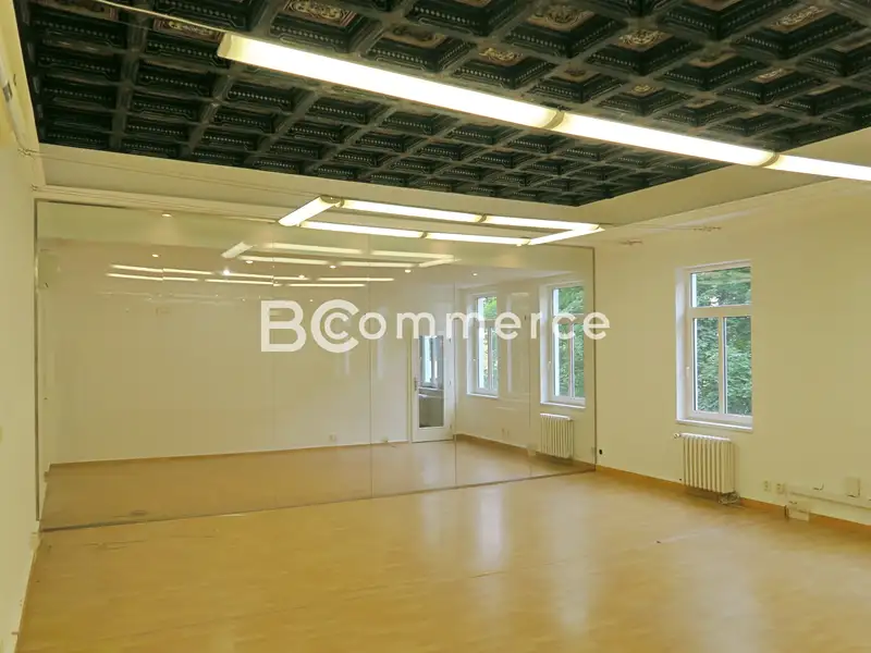 Pronájem kanceláře 156 m², Brno – náhled fotky 1