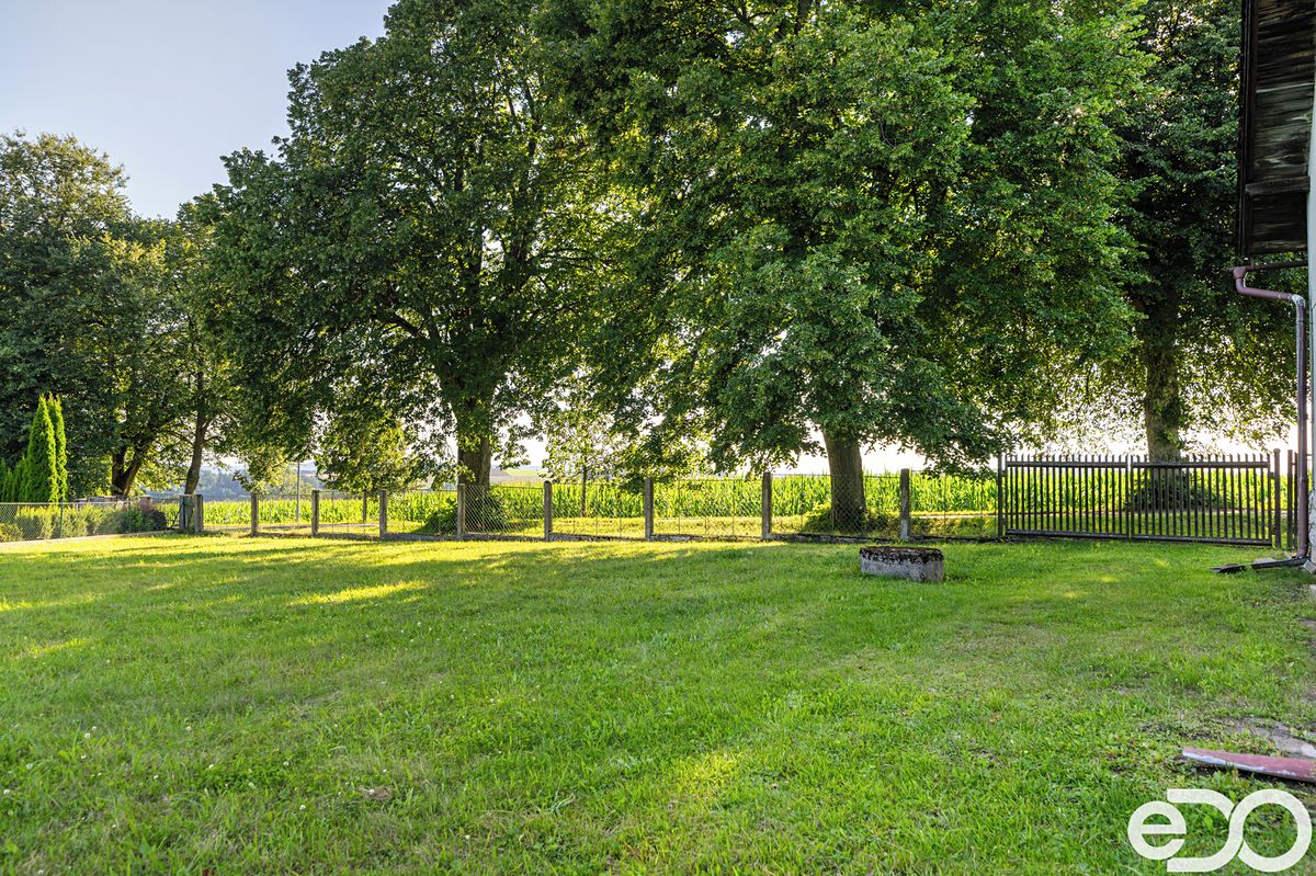 Prodej rodinného domu 253 m², pozemek 1339 m² – fotografie 5