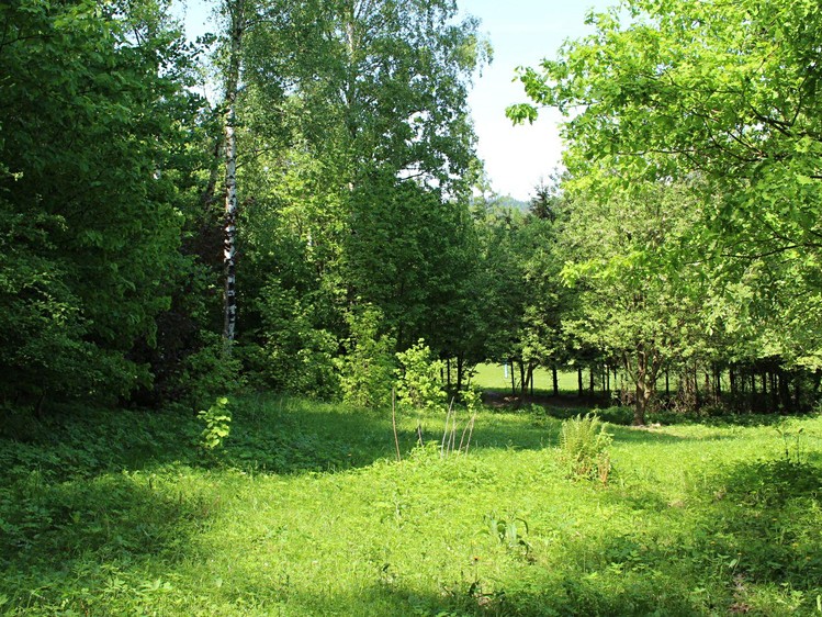 Grundstück zum Kauf, 12.146 m² (12 von 13)