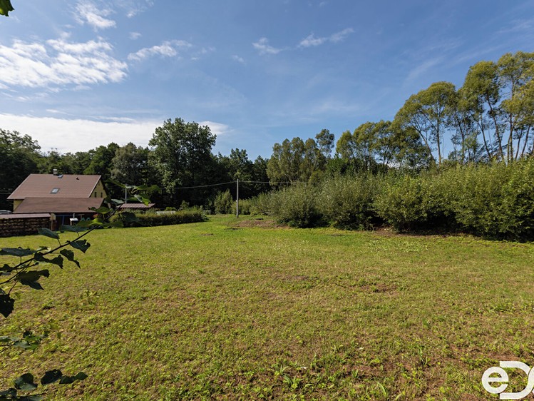 Ділянка на продаж, 2 393 м² (8 з 21)