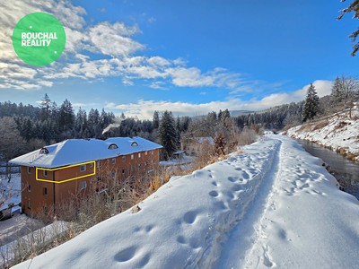 Prodej bytu 1+kk 35 m² (Jednopodlažní)