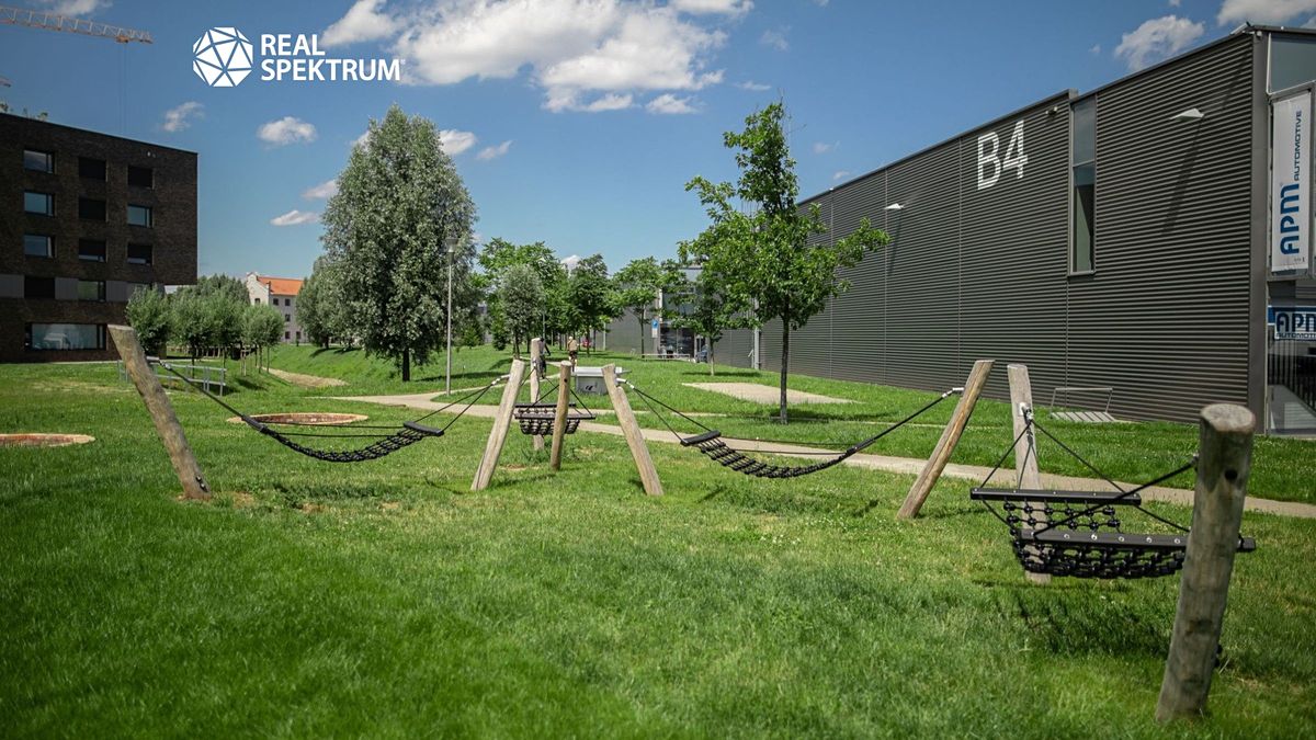 Pronájem kanceláře 893 m² – fotografie 4