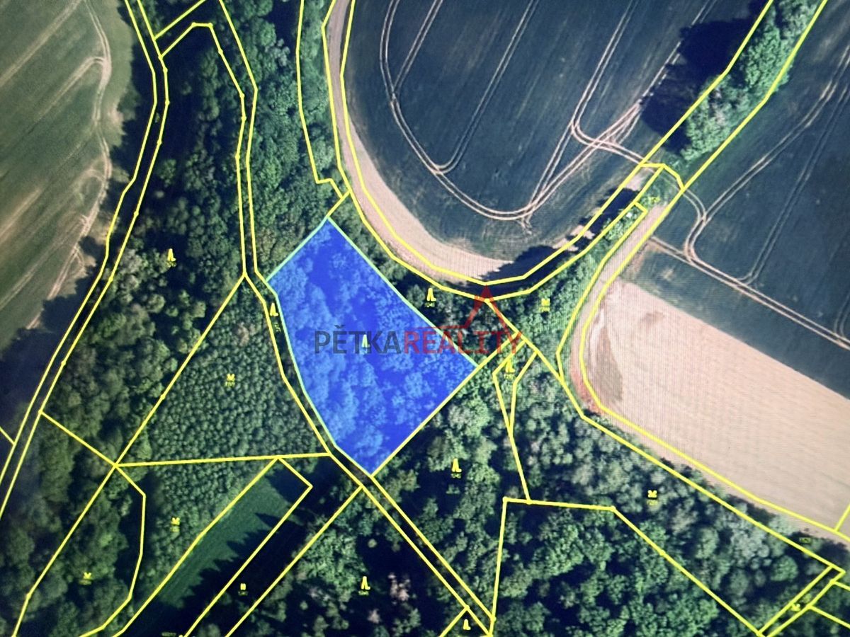Prodej lesa 4700 m² – fotografie 3