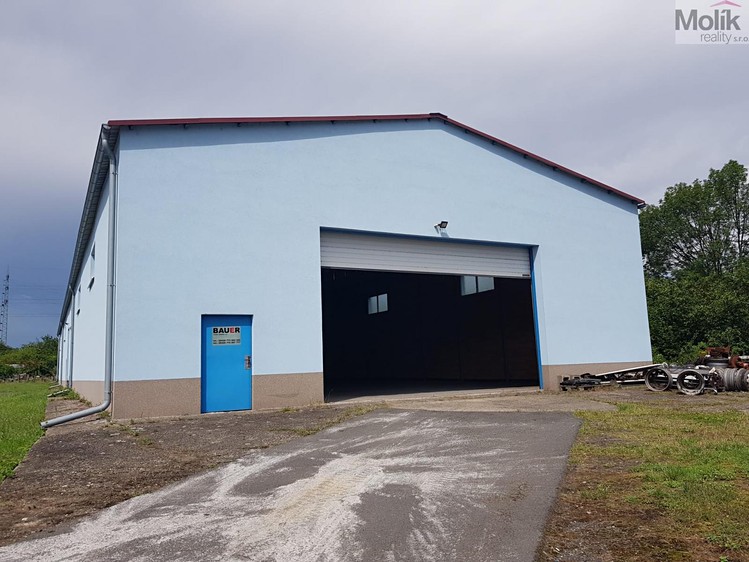 Комерційне приміщення в оренду, 440 м² (4 з 6)
