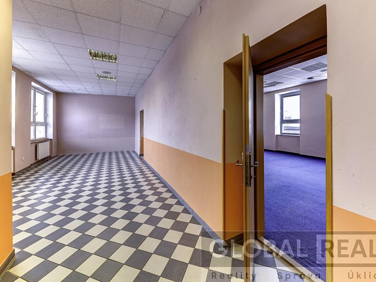 Prodej komerčního prostoru, 401 m² (12 z 23)
