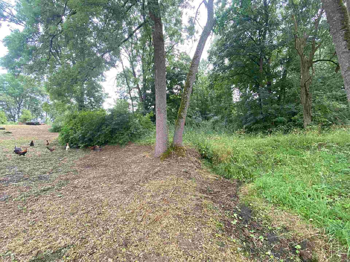 Prodej pozemku 1993 m² – fotografie 2